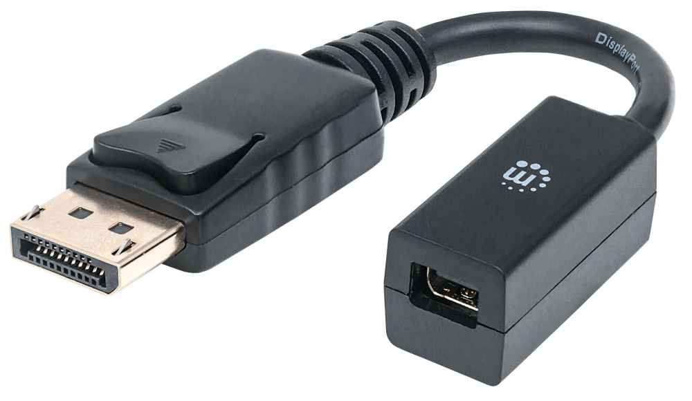 DisplayPort to Mini DisplayPort Adapter Image 1